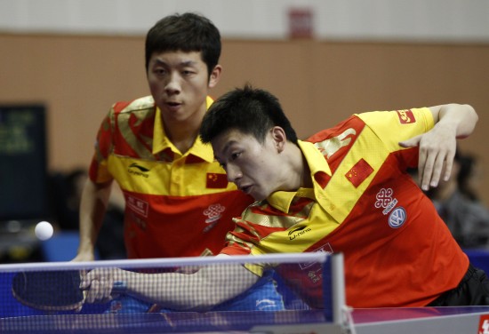 与专业能力 与专业能力